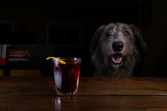 Dubonnet Cocktail Recipe