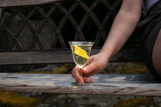The World's Best Martini